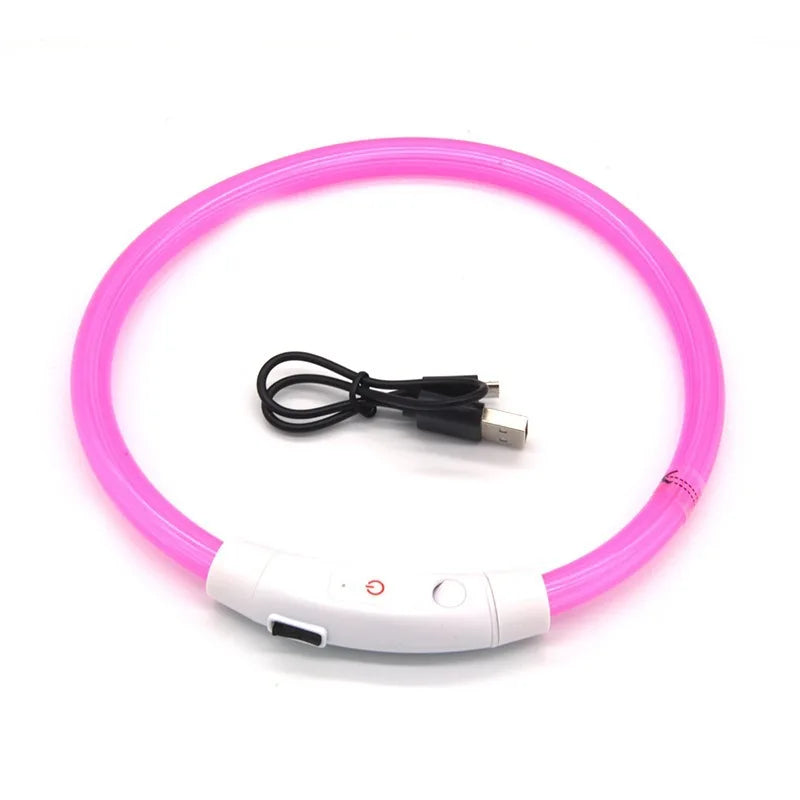Snoutbound Glow Collar – USB Rechargeable LED Dog Collar for Night Walks