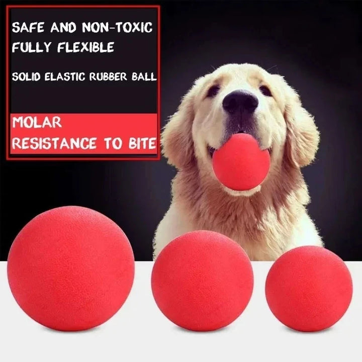 Snoutbound Tough Ball – Durable Solid Rubber Fetch Toy for Dogs