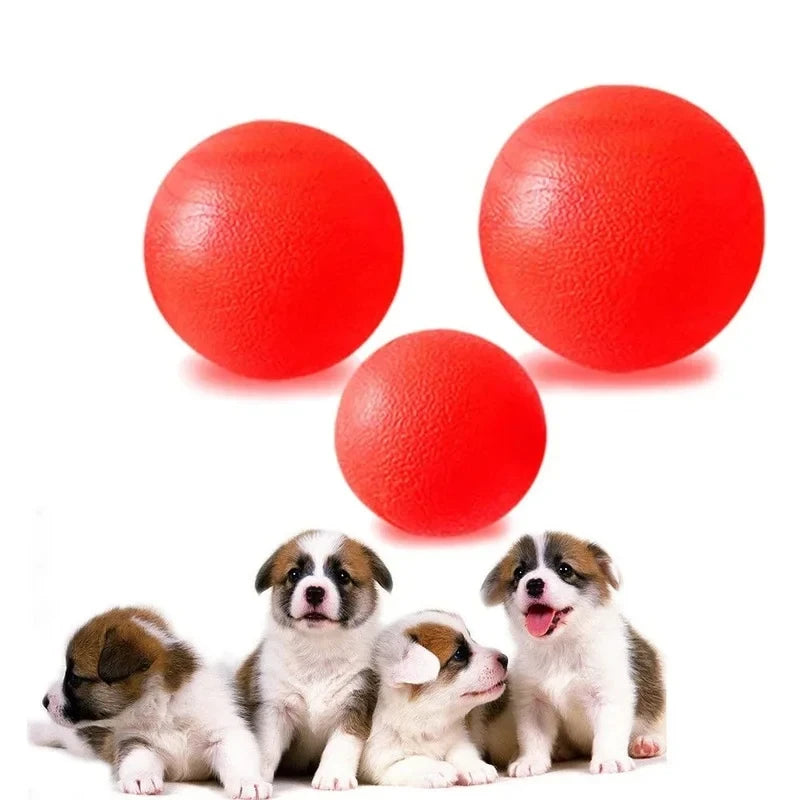 Snoutbound Tough Ball – Durable Solid Rubber Fetch Toy for Dogs