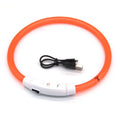 Snoutbound Glow Collar – USB Rechargeable LED Dog Collar for Night Walks