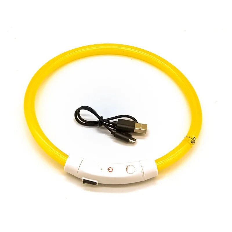 Snoutbound Glow Collar – USB Rechargeable LED Dog Collar for Night Walks