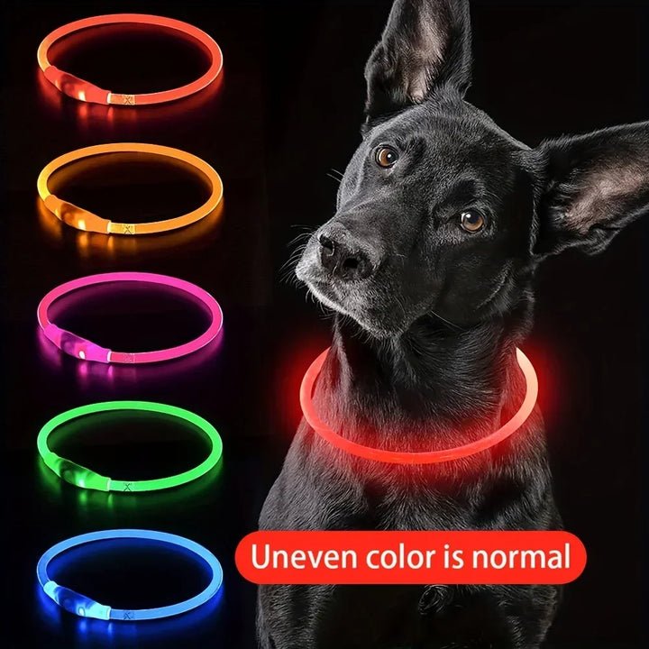 Snoutbound Glow Collar – USB Rechargeable LED Dog Collar for Night Walks