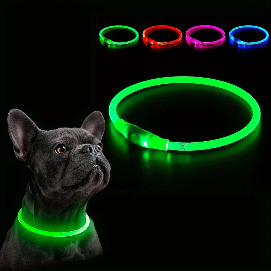 Snoutbound Glow Collar – USB Rechargeable LED Dog Collar for Night Walks