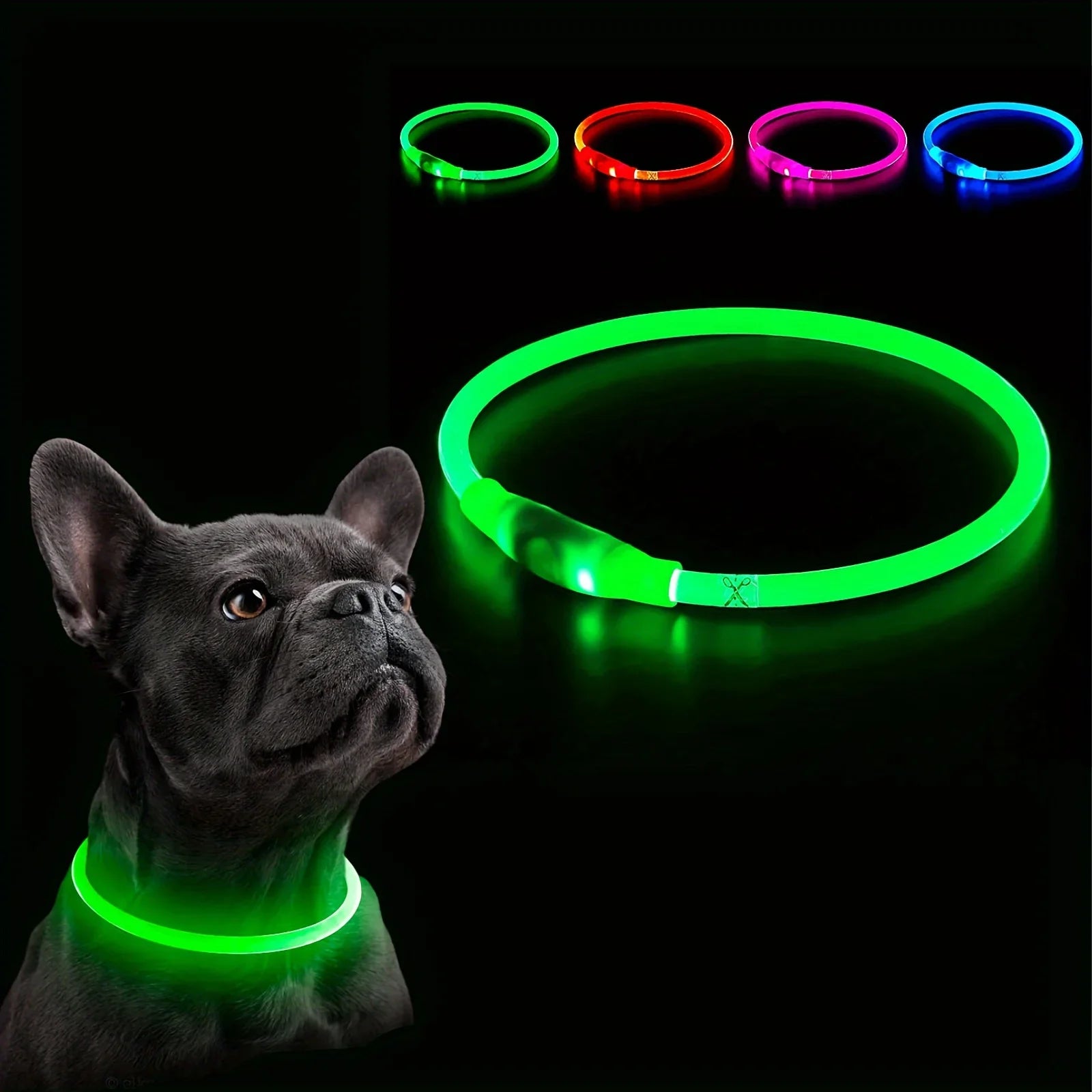 Snoutbound Glow Collar – USB Rechargeable LED Dog Collar for Night Walks