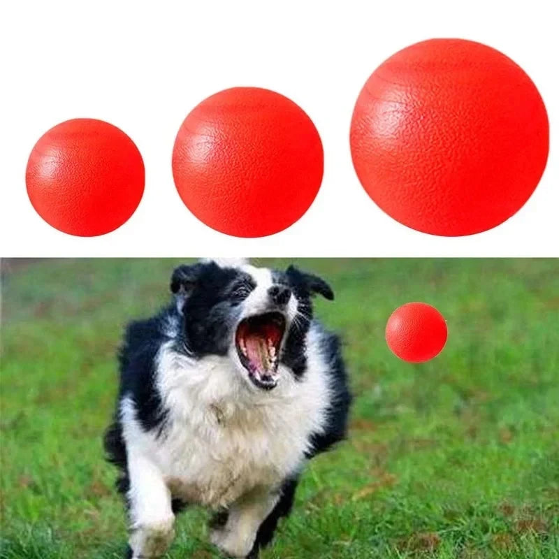 Snoutbound Tough Ball – Durable Solid Rubber Fetch Toy for Dogs