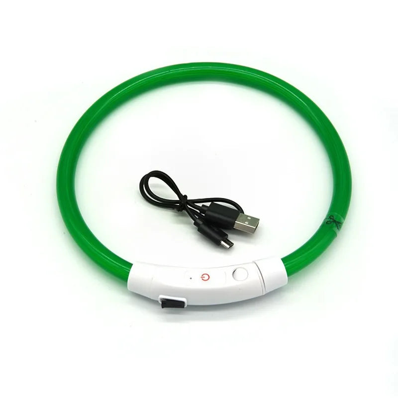Snoutbound Glow Collar – USB Rechargeable LED Dog Collar for Night Walks