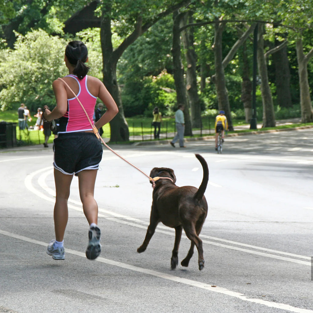 Snoutbound Hands-Free Dog Leash – Adjustable Waist Leash for Walking & Running
