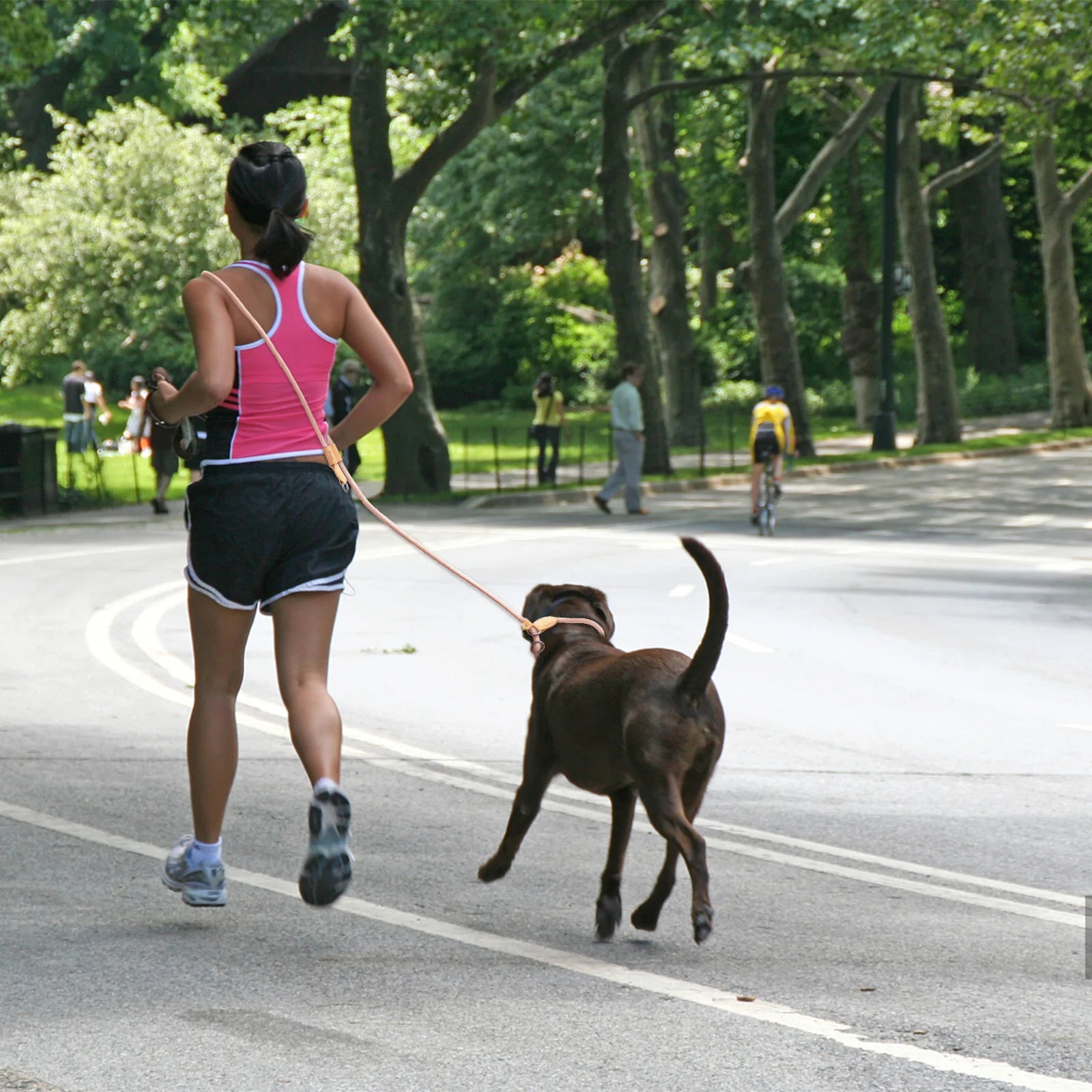 Snoutbound Hands-Free Dog Leash – Adjustable Waist Leash for Walking & Running